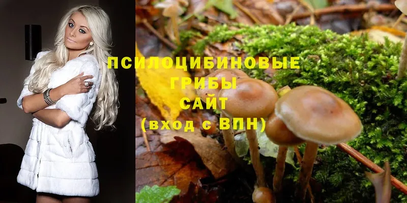 Галлюциногенные грибы Psilocybe  Миасс 